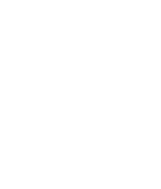 Fiore de Liberi